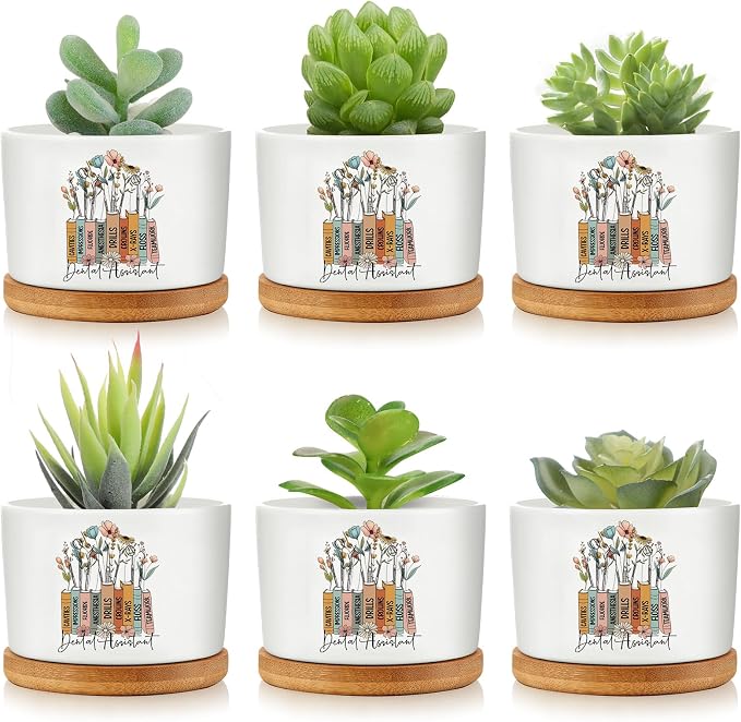 ⁠Dental Assistant Ceramic Succinct Pots (Set of 6)